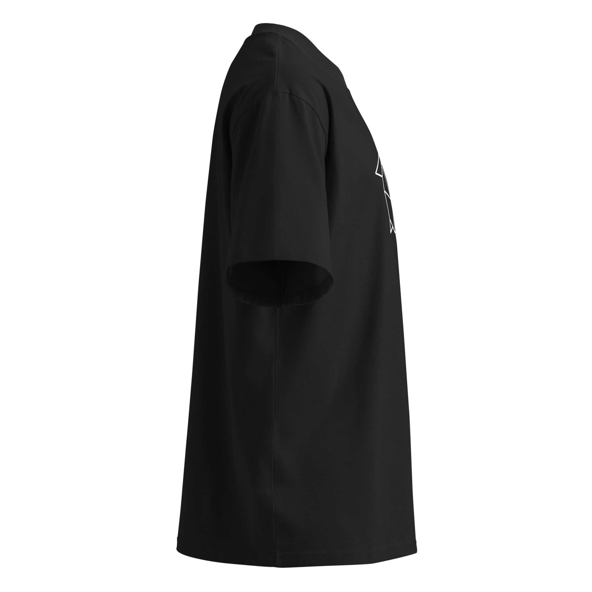 THE TURTLE DAILY TSHIRT